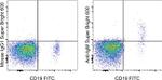 IgM Antibody in Flow Cytometry (Flow)