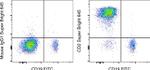 CD2 Antibody in Flow Cytometry (Flow)