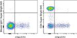 CD4 Antibody in Flow Cytometry (Flow)