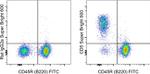 CD5 Antibody in Flow Cytometry (Flow)