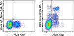 CD16 Antibody in Flow Cytometry (Flow)