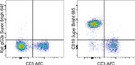 CD19 Antibody in Flow Cytometry (Flow)