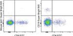 CD19 Antibody in Flow Cytometry (Flow)