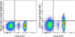 CD25 Antibody in Flow Cytometry (Flow)