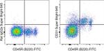 CD31 (PECAM-1) Antibody in Flow Cytometry (Flow)