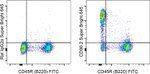 CD90.2 (Thy-1.2) Antibody in Flow Cytometry (Flow)