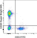 CD20 Antibody in Flow Cytometry (Flow)