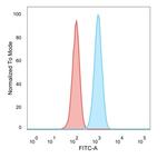 SCXA Antibody in Flow Cytometry (Flow)