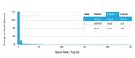 Pulmonary Surfactant-Associated Protein D (SFTPD) Antibody in Peptide array (ARRAY)