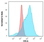 GLUT-1 Antibody in Flow Cytometry (Flow)