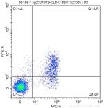 CD197 Antibody in Flow Cytometry (Flow)