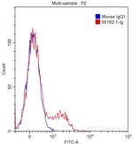 CD73 Antibody in Flow Cytometry (Flow)