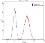 CD146 Antibody in Flow Cytometry (Flow)