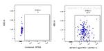 STRO-1 Antibody in Flow Cytometry (Flow)