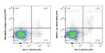 CD94 Antibody in Flow Cytometry (Flow)