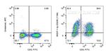 CD226 Antibody in Flow Cytometry (Flow)