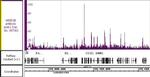 JARID1B/KDM5B Antibody in ChIP Assay (ChIP)