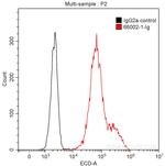 GFP tag Antibody in Flow Cytometry (Flow)