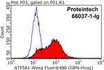 ATP5A1 Antibody in Flow Cytometry (Flow)