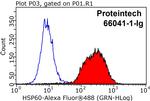 HSP60 Antibody in Flow Cytometry (Flow)