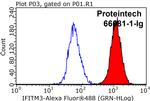 IFITM2/3 Antibody in Flow Cytometry (Flow)