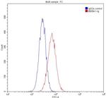 Fetuin-A Antibody in Flow Cytometry (Flow)