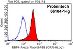 RBP4 Antibody in Flow Cytometry (Flow)