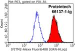 IFITM2 Antibody in Flow Cytometry (Flow)