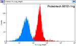 HBE1 Antibody in Flow Cytometry (Flow)