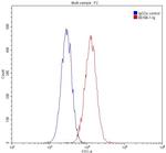 TBP Antibody in Flow Cytometry (Flow)