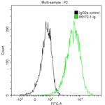 MSH6 Antibody in Flow Cytometry (Flow)