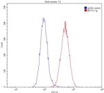 CNPY2/MSAP Antibody in Flow Cytometry (Flow)