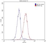 P62/SQSTM1 Antibody in Flow Cytometry (Flow)