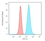 Fascin-1 (Reed-Sternberg Cell Marker) Antibody in Flow Cytometry (Flow)