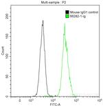 CD200 Antibody in Flow Cytometry (Flow)