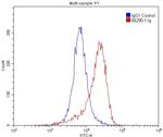 GLUT1 Antibody in Flow Cytometry (Flow)