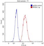 CD47 Antibody in Flow Cytometry (Flow)