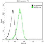 CD27 Antibody in Flow Cytometry (Flow)