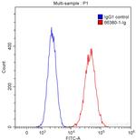 TrkC Antibody in Flow Cytometry (Flow)