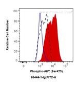 Phospho-AKT (Ser473) Antibody in Flow Cytometry (Flow)