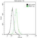 SLP76 Antibody in Flow Cytometry (Flow)