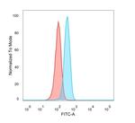 Superoxide Dismutase 1 (SOD1) (Antioxidant Enzyme) Antibody in Flow Cytometry (Flow)