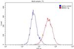 HLA-E Antibody in Flow Cytometry (Flow)