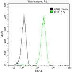 Cathepsin D Antibody in Flow Cytometry (Flow)