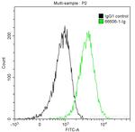 FYN Antibody in Flow Cytometry (Flow)