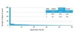 SOX9/SRY-box 9 Antibody in Peptide array (ARRAY)