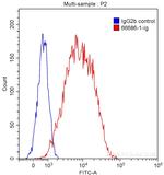 Galectin-4 Antibody in Flow Cytometry (Flow)