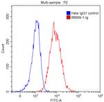 ACE2 Antibody in Flow Cytometry (Flow)