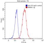 ACE2 Antibody in Flow Cytometry (Flow)