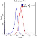 ACE2 Antibody in Flow Cytometry (Flow)